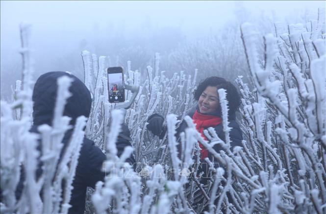 Gần 10 nghìn lượt khách lên đỉnh Mẫu Sơn ngắm băng tuyết
