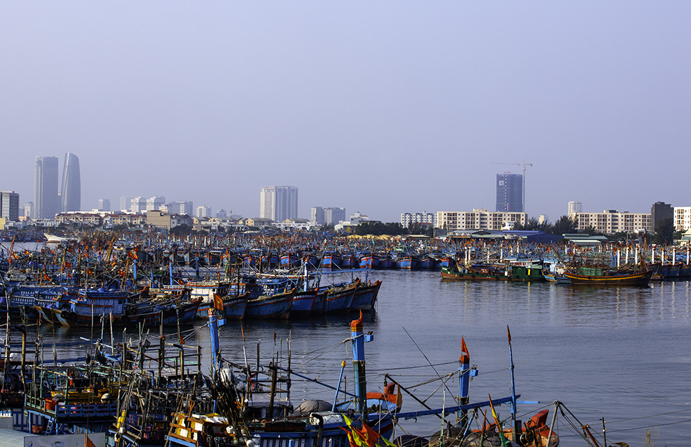 Đà Nẵng: Nâng cấp, mở rộng cải thiện môi trường để phát triển du lịch cảng cá lớn nhất miền Trung.