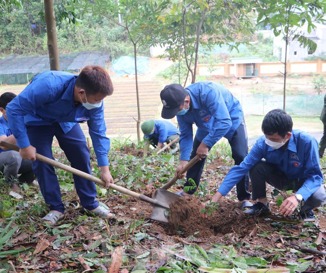 Trồng cây lim xanh đem lại lợi ích không chỉ cho môi trường mà còn cho con người. Đừng bỏ lỡ cơ hội xem hình ảnh về việc trồng và chăm sóc những cây xanh như thế này, vì nó đóng góp rất lớn vào việc giữ gìn tài nguyên thiên nhiên của chúng ta.