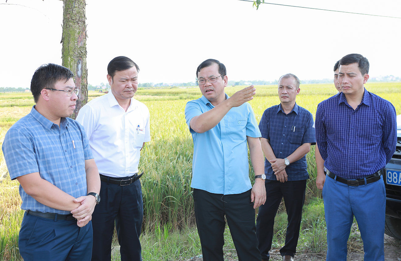 Bắc Giang: Hoàn thành giải phóng mặt bằng Khu công nghiệp Yên Lư trong quý I năm 2024