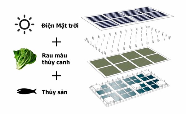 Mô hình đổi mới sáng tạo trong nông nghiệp và gợi ý cho Việt Nam