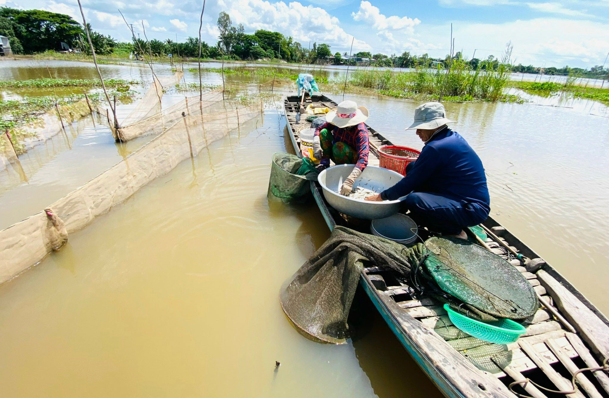 Nước sông Mê Kông hụt 60% ngay mùa lũ