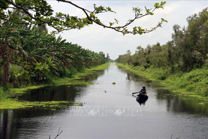 Ngày Đất ngập nước Thế giới: Cùng hành động bảo vệ, sử dụng bền vững vùng đất ngập nước