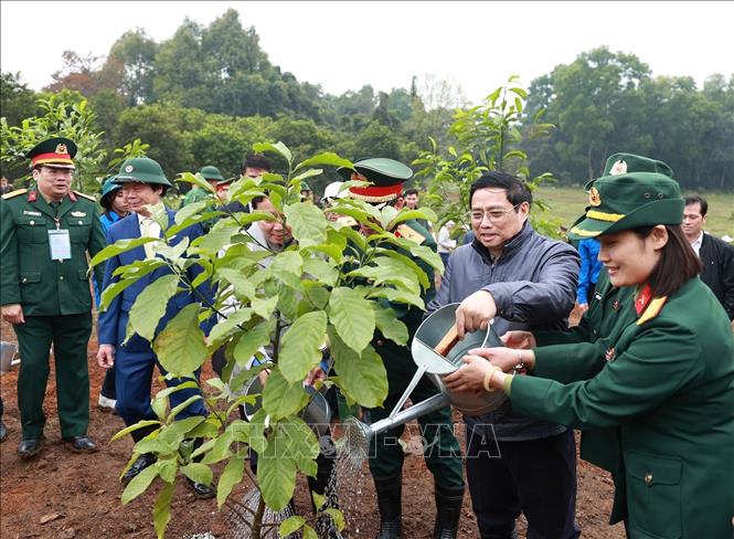 Triển khai Chỉ thị 03/CT-TTg: Góp sức trồng 1 tỷ cây xanh, vì một Việt Nam xanh