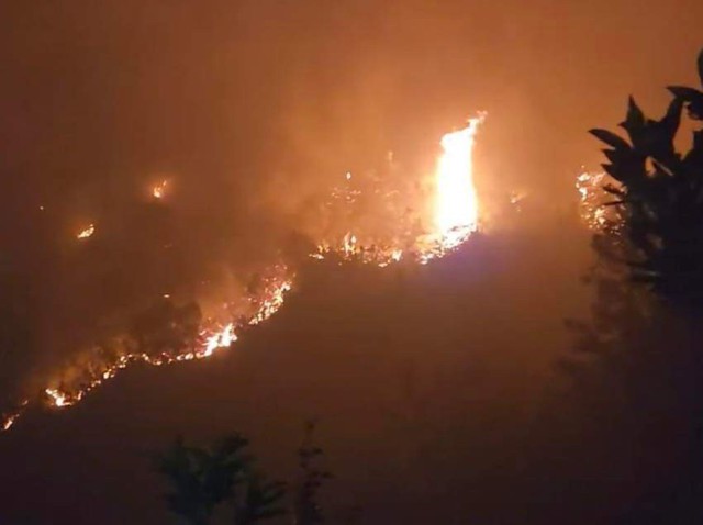 Thủ tướng Chính phủ yêu cầu tăng cường triển khai các biện pháp cấp bách phòng cháy, chữa cháy rừng