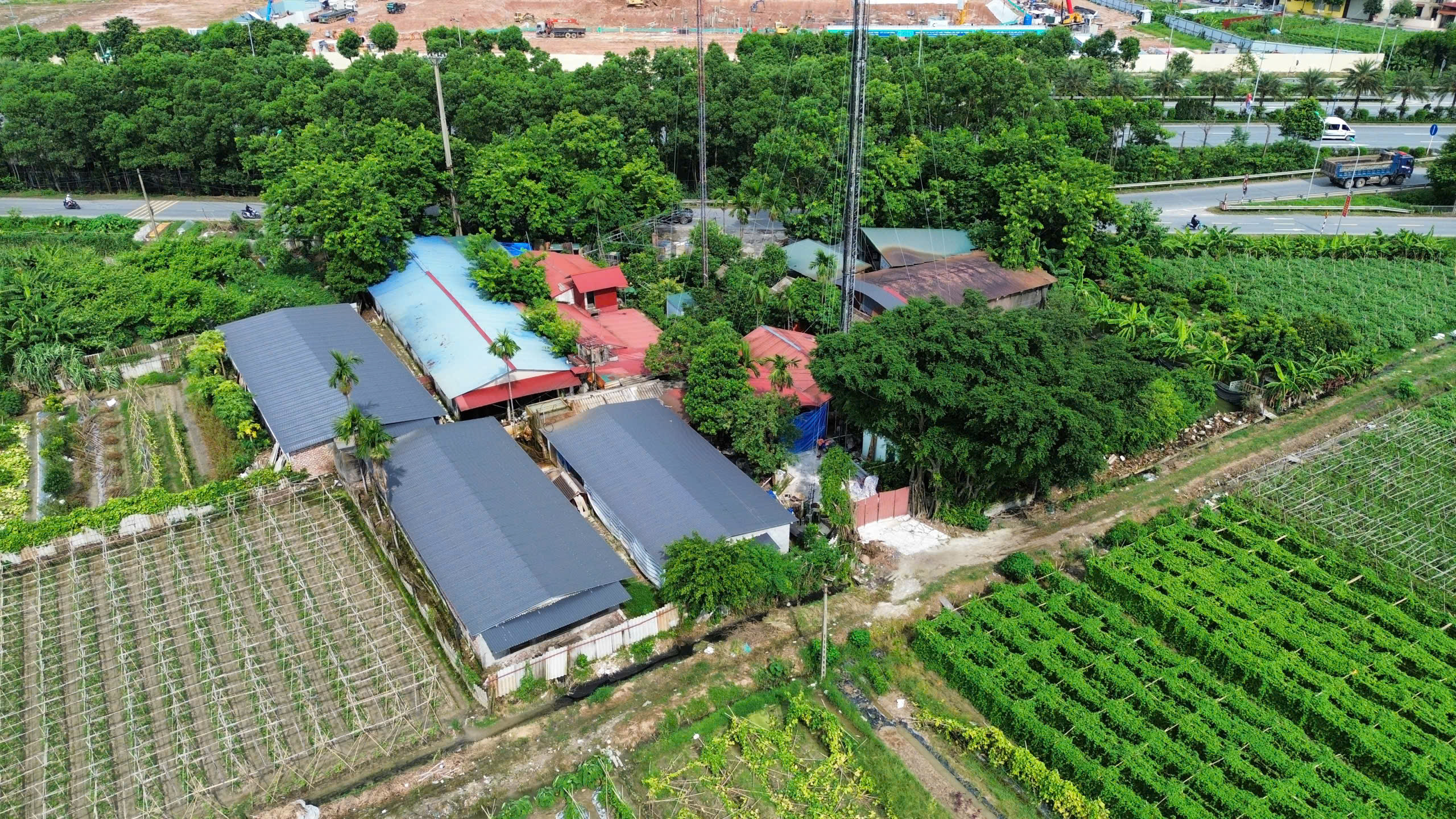 Hà Nội tăng cường kiểm soát an toàn thực phẩm, ngăn ngừa ô nhiễm trong sản xuất nông nghiệp