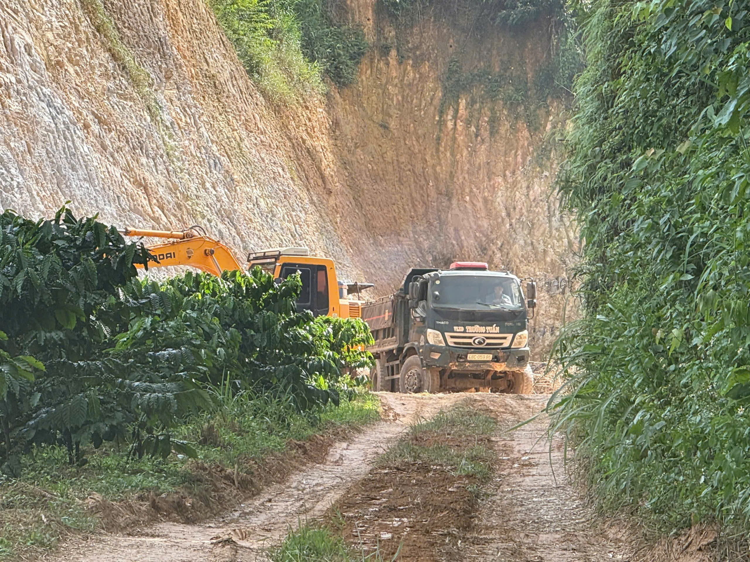 Nam Đà (Lâm Đồng) xử phạt ba trường hợp làm biến dạng, suy giảm chất lượng đất