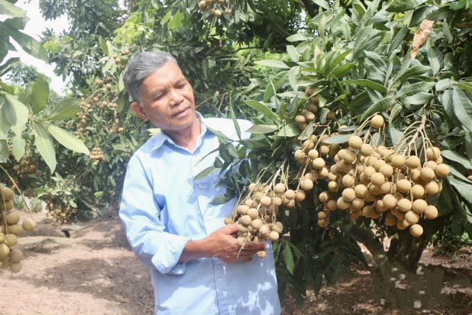 Huyện Kim Động (Hưng Yên): Phát huy tiềm năng, phát triển xứng tầm