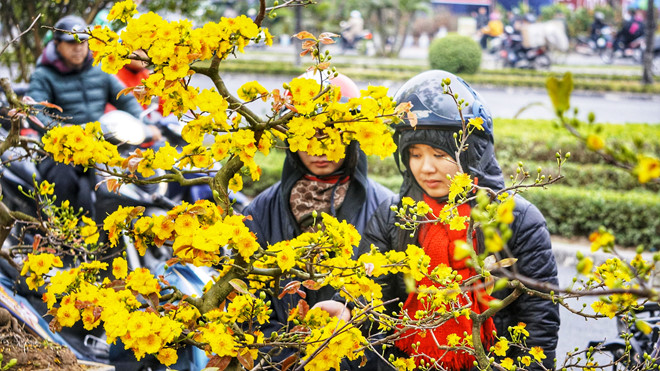 Lịch sử hình thành và ý nghĩa của Tết Nguyên đán