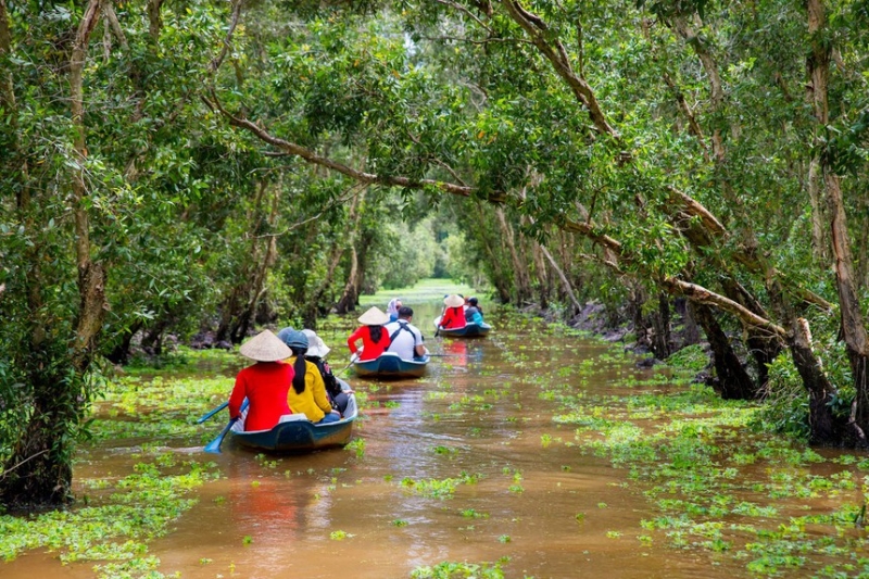 An Giang: Đưa rừng tràm Trà Sư trở thành điểm du lịch đẳng cấp quốc tế