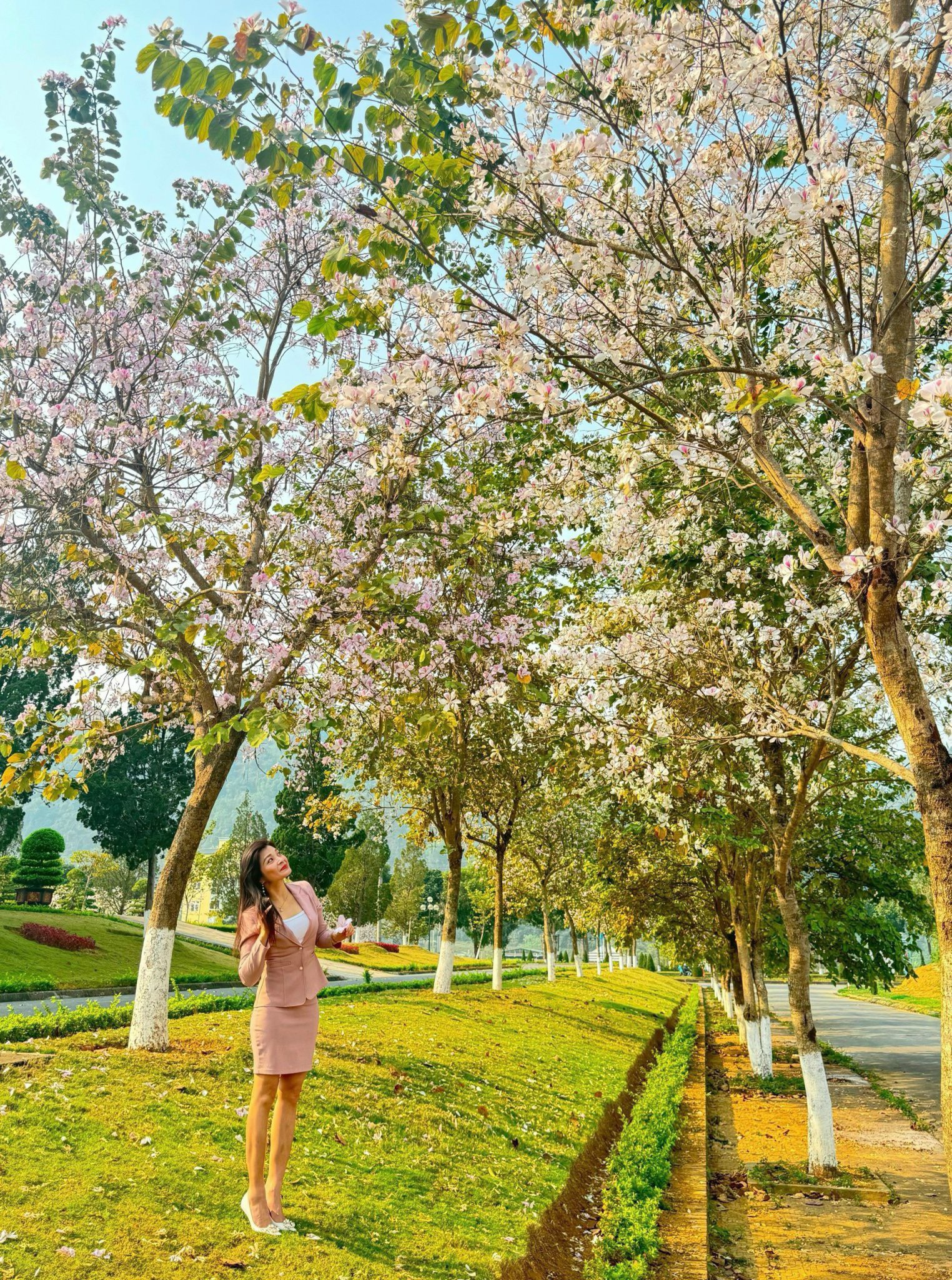 Sắc ban Tây Bắc vẫy gọi