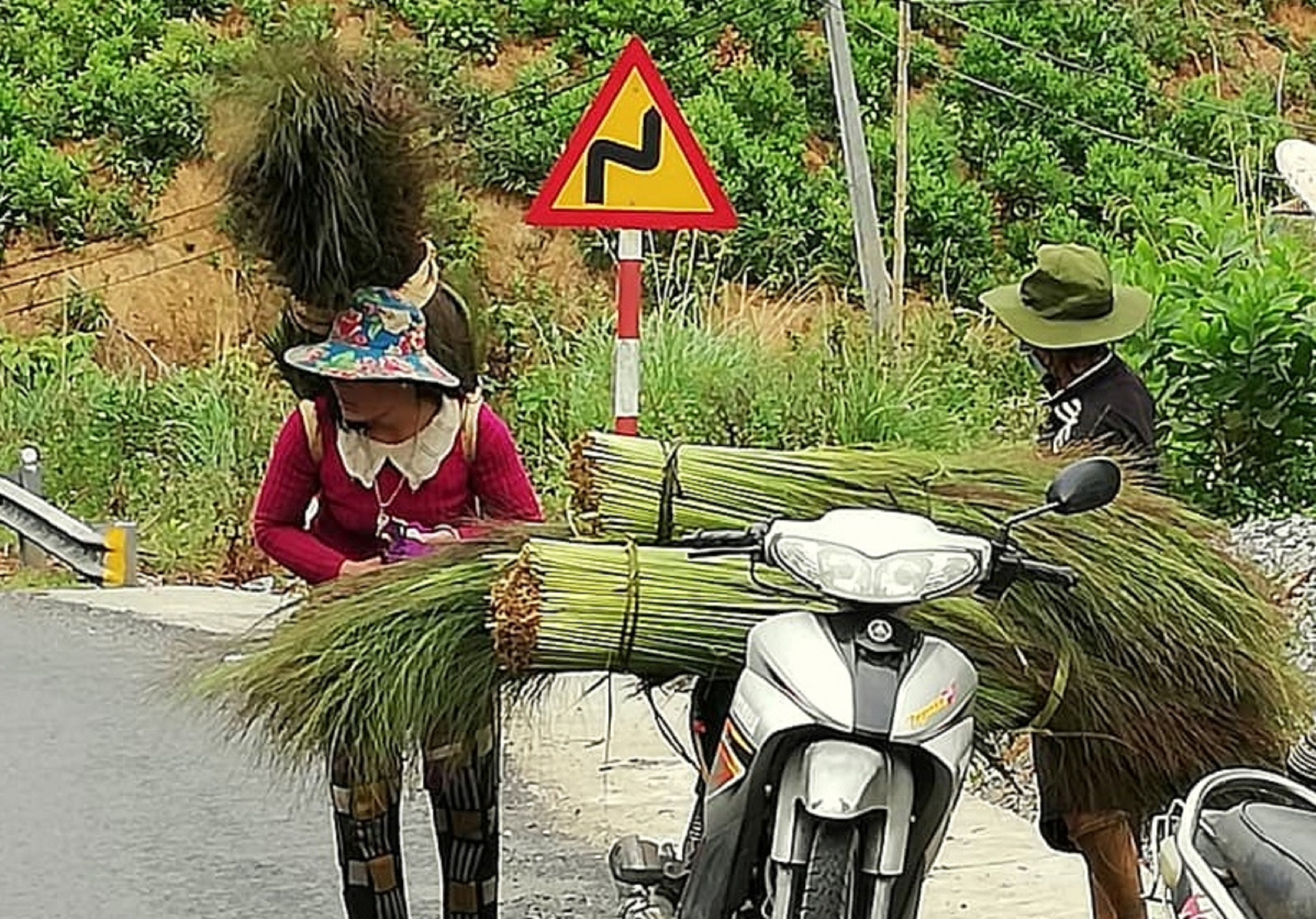                               Hái “lộc rừng” đầu năm ở xứ Quảng      