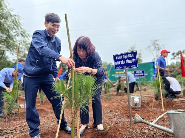 Kon Tum: Ra quân trồng cây xanh tại Măng Đen