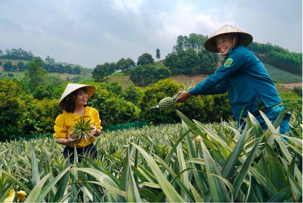 Bắc Giang chú trọng đầu tư đối với hợp tác xã, liên hiệp hợp tác xã nông nghiệp