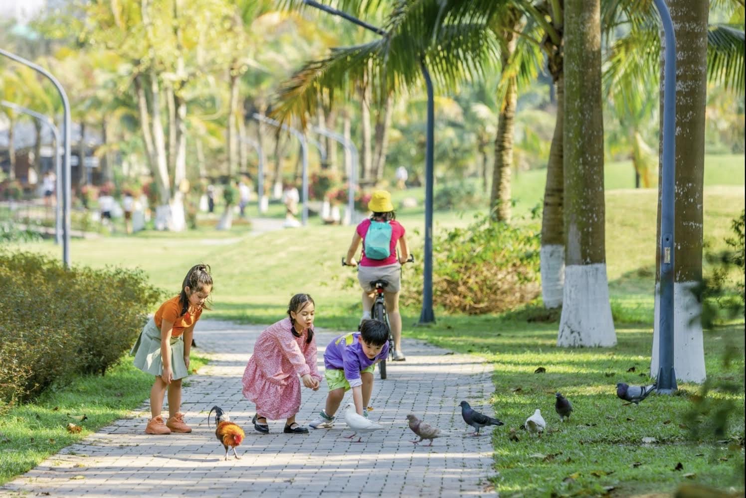 Mùa hè xanh ngắt ở Ecopark