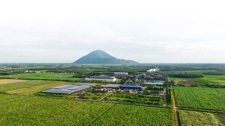 Tây Ninh tiếp nhận hồ sơ hai dự án nông nghiệp công nghệ cao quy mô hơn 516 ha