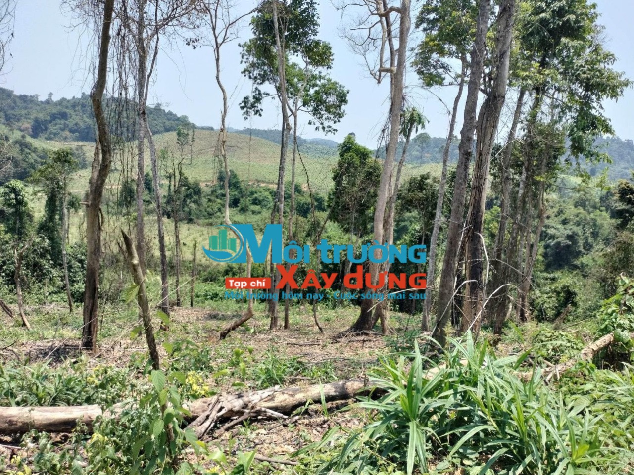 Tinh vi hình thức phá, lấn chiếm đất rừng tự nhiên ở huyện Hương Khê – Hà Tĩnh