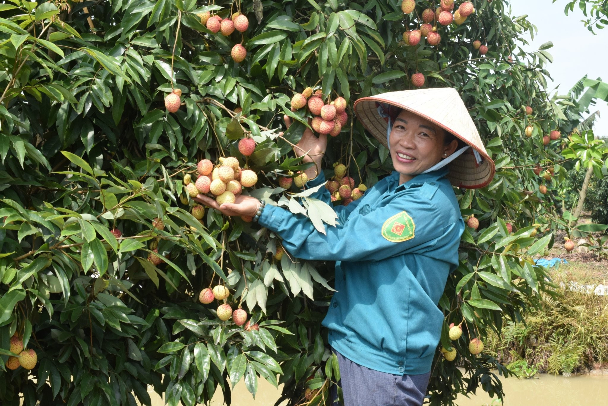 Huyện Phù Cừ (Hưng Yên): Tập trung nguồn lực, thúc đẩy kinh tế - xã hội phát triển toàn diện và bền vững