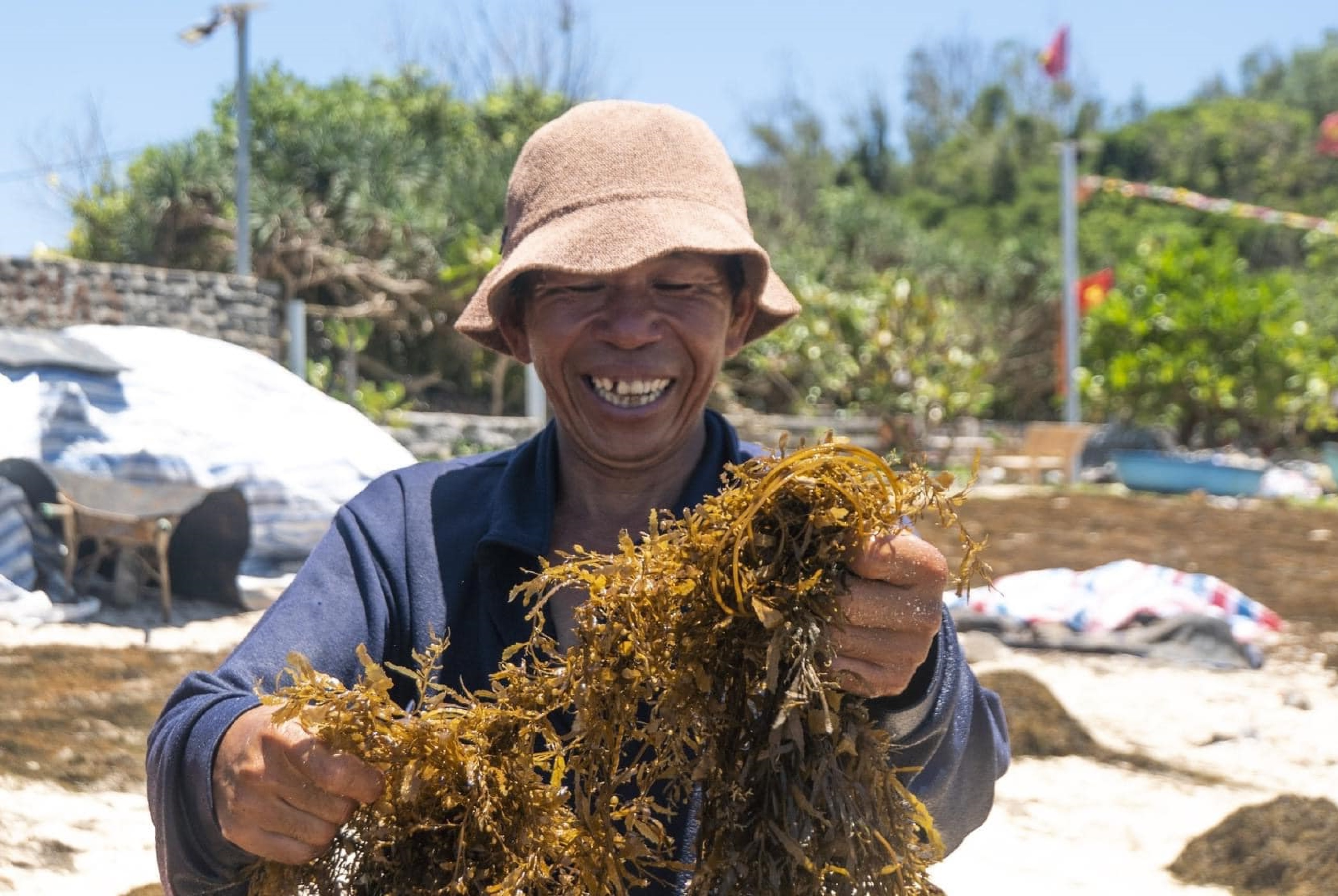 Lý Sơn mùa rong biển