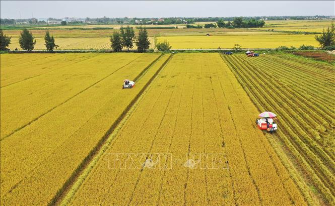 Chuyển đổi số hướng tới nông thôn mới thông minh