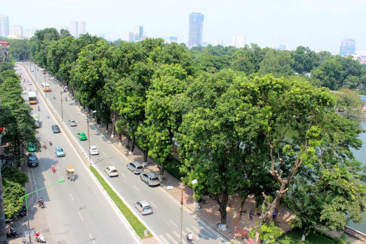 Nghiên cứu lựa chọn cây xanh đô thị có khả năng giảm bụi mịn, cải thiện chất lượng không khí