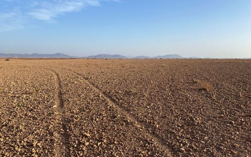 Sản xuất nông nghiệp ở Maroc và Argentina bị thiệt hại nặng do hạn hán