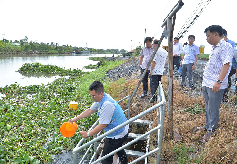 Đồng Tháp khẩn trương làm rõ nguyên nhân hơn 72 ha rau màu, cây trồng bị thiệt hại