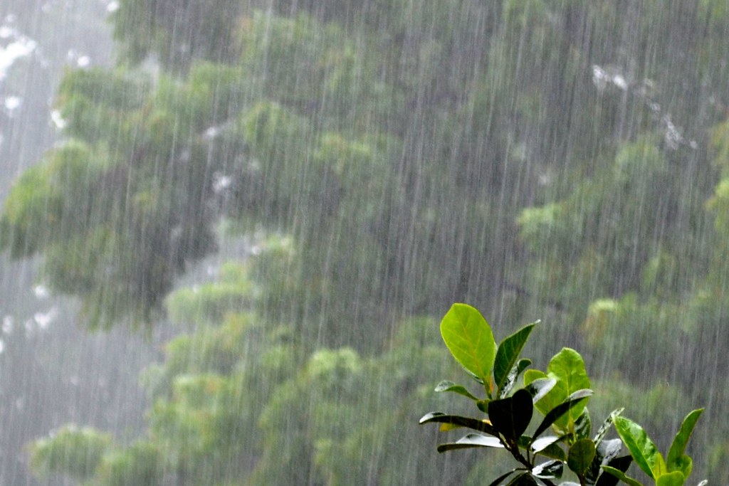 Dự báo thời tiết ngày 26/6: Nhiều nơi ở Bắc Bộ tiếp tục mưa to và dông