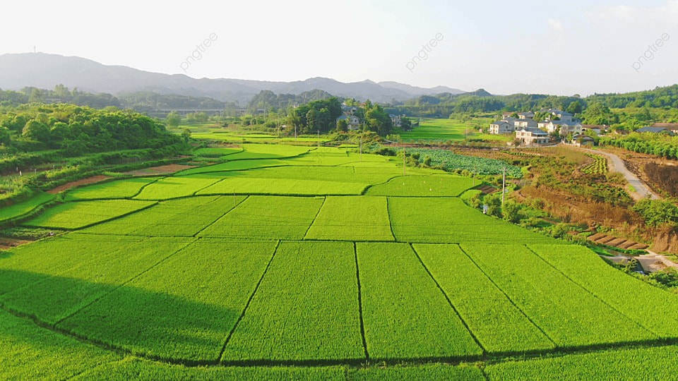 Mở rộng đối tượng nhận chuyển nhượng quyền sử dụng đất nông nghiệp