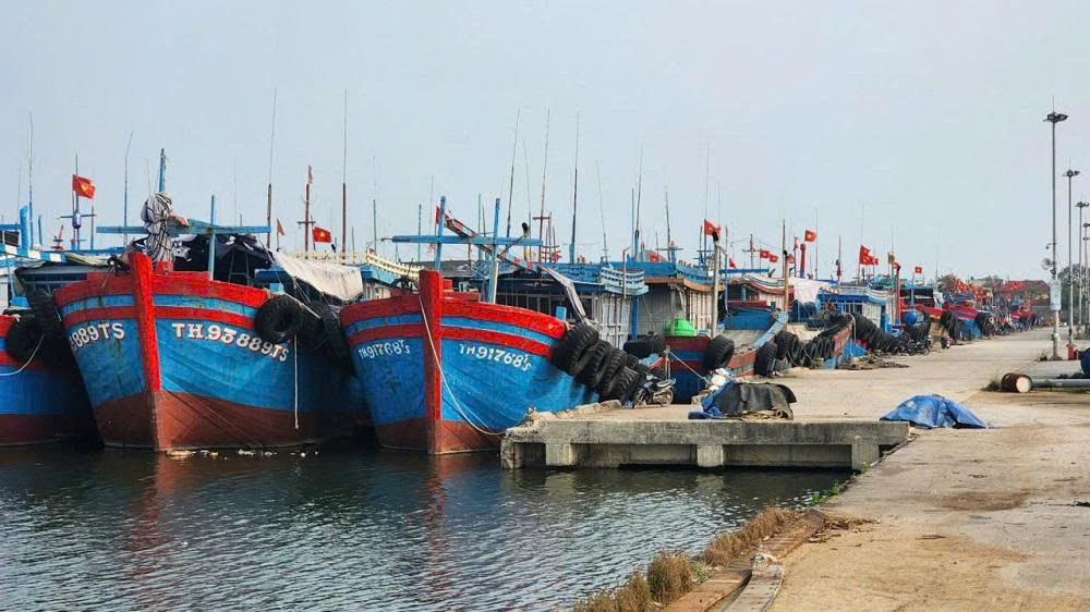 Bộ Nông nghiệp và Môi trường siết chặt quản lý đội tàu cá, kiểm soát nguồn gốc thủy sản
