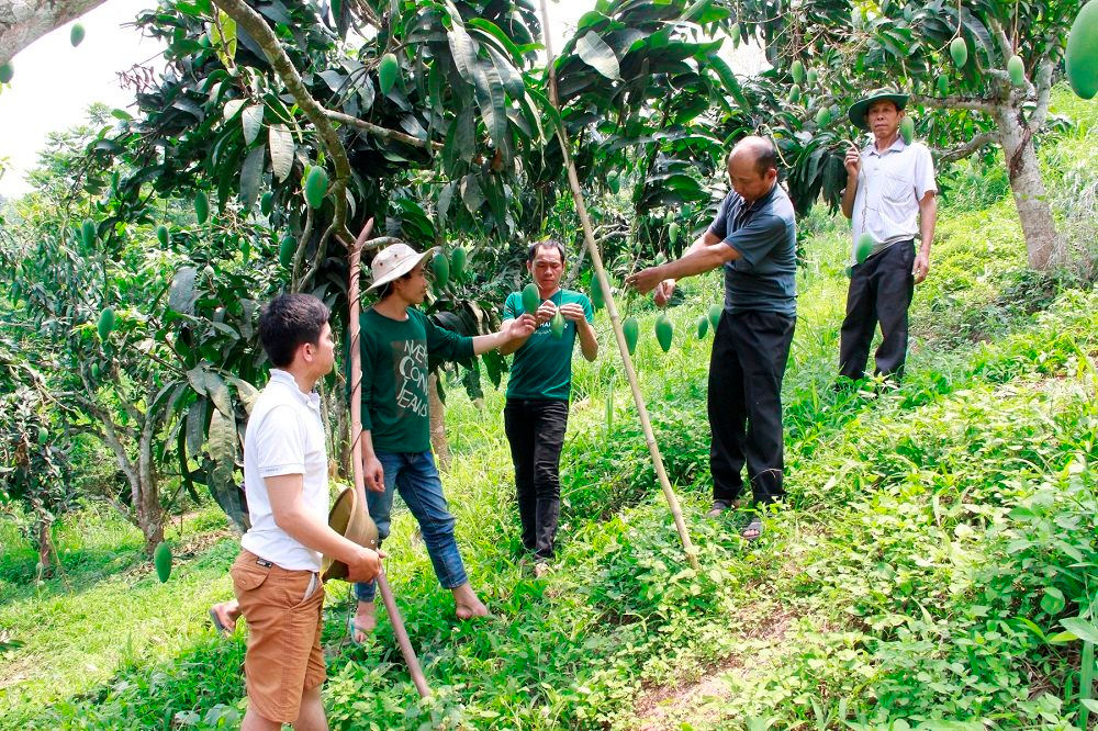 Sơn La thích ứng BĐKH: Triển khai nhiều mô hình, dự án xanh