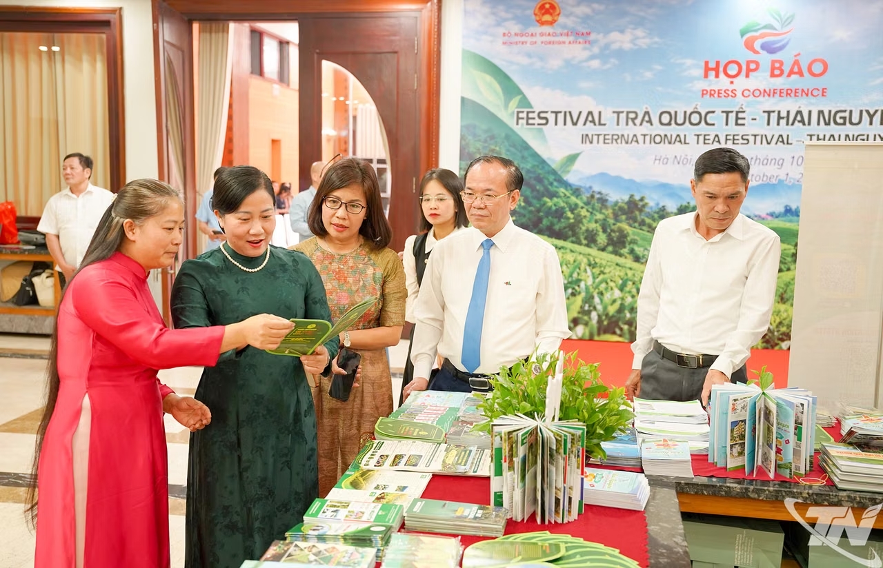 Festival Trà Quốc tế - Thái Nguyên 2026: Kết nối văn hóa và sinh kế từ cây chè
