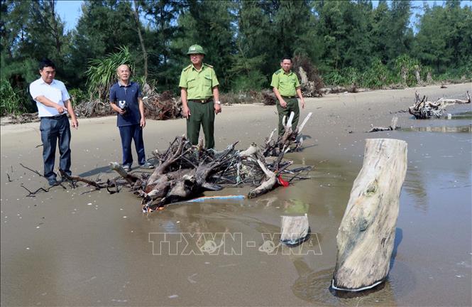 Hà Tĩnh: Sớm có giải pháp khắc phục tình trạng biển xâm thực