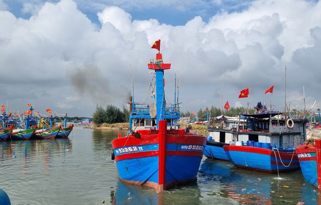 Quảng Ngãi triển khai hàng loạt dự án nâng cấp, mở rộng hạ tầng cảng cá