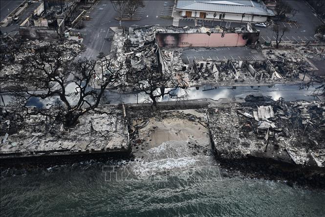 Thảm họa cháy rừng ở Hawaii: Ít nhất 1.100 người mất tích
