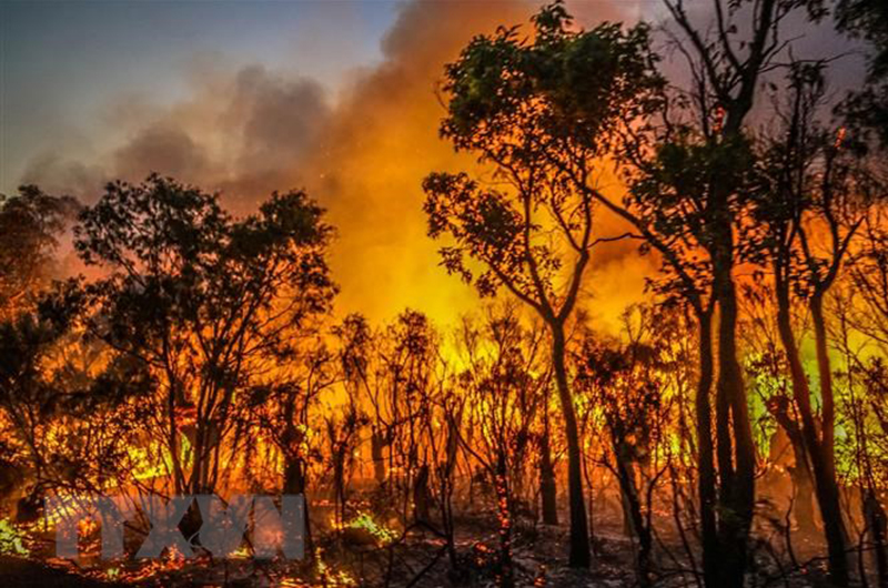 Cháy rừng ở Australia có thể liên quan đến sự suy giảm tầng ozone