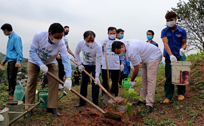 Đại sứ quán Israel tặng tỉnh Hòa Bình hơn 22 nghìn cây xanh