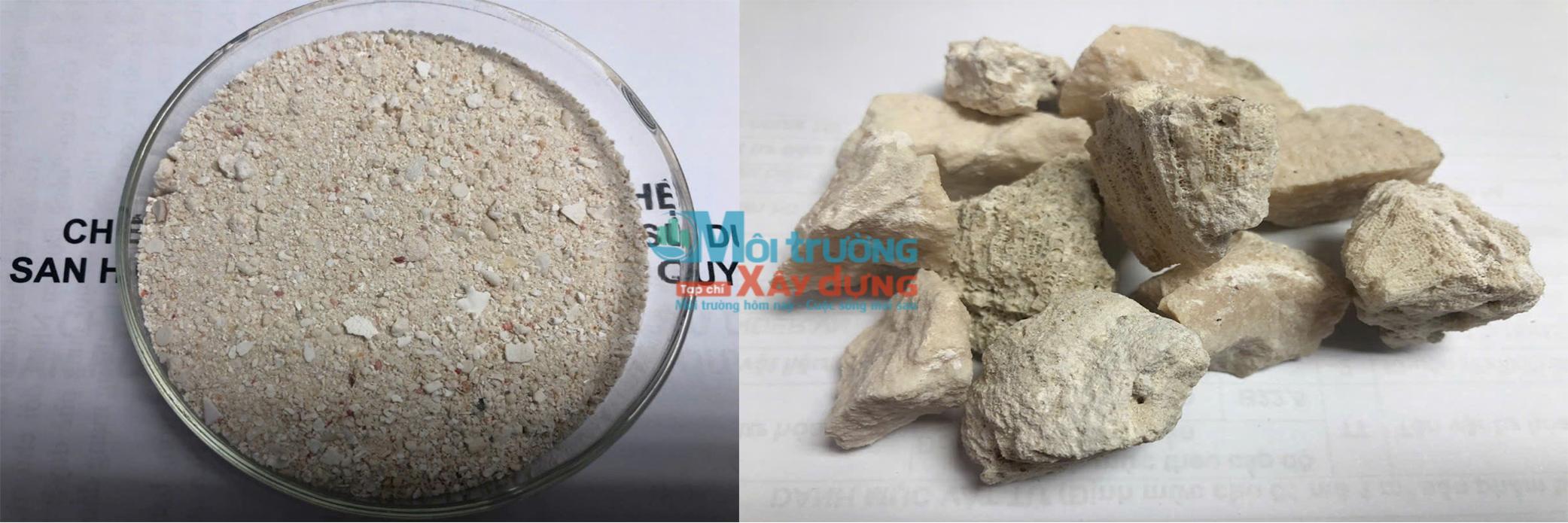Biến cát san hô, nước biển thành bê tông M300: Bước đột phá cho công trình biển đảo