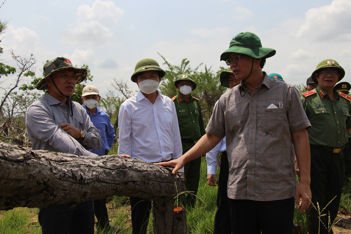 Lãnh đạo tỉnh Đắk Lắk kiểm tra hiện trường vụ phá gần 400ha rừng