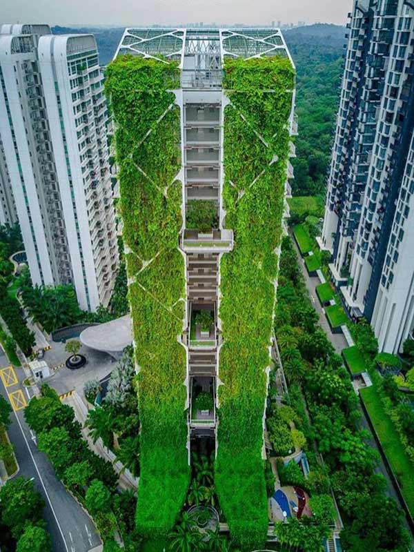 Kiến trúc xanh trong nhà cao tầng sự hòa quyện giữa hiện đại và bản vững
