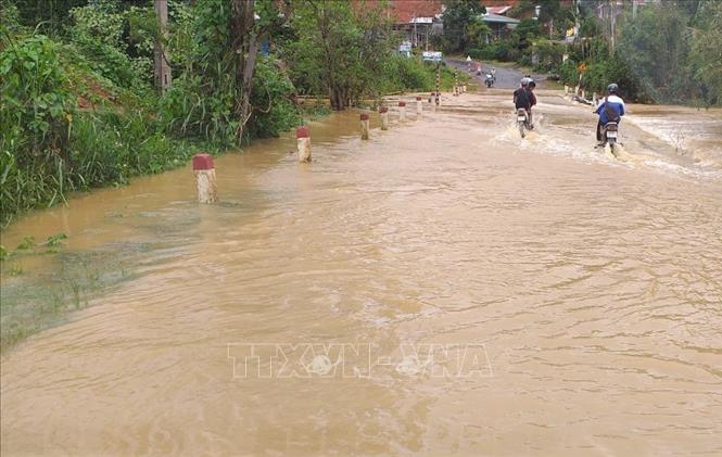 Cơn mưa vàng' giải cứu khô hạn toàn tỉnh Lâm Đồng