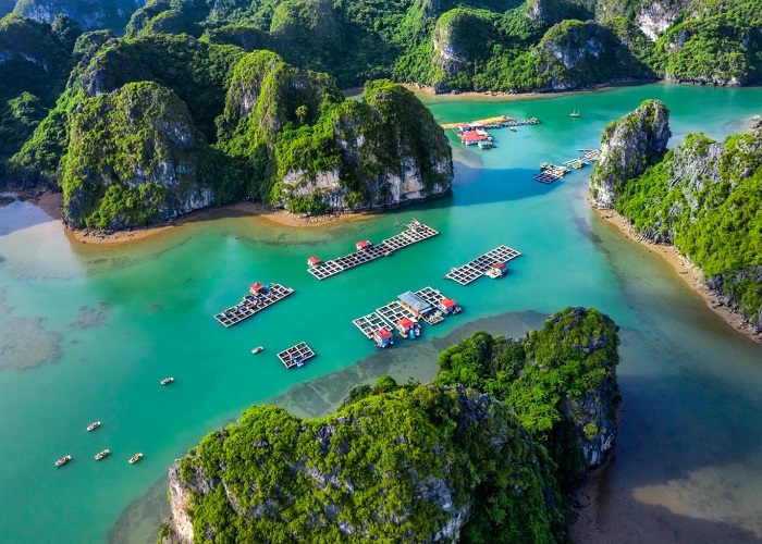 Khẩn trương lập Quy hoạch bảo vệ môi trường quốc gia