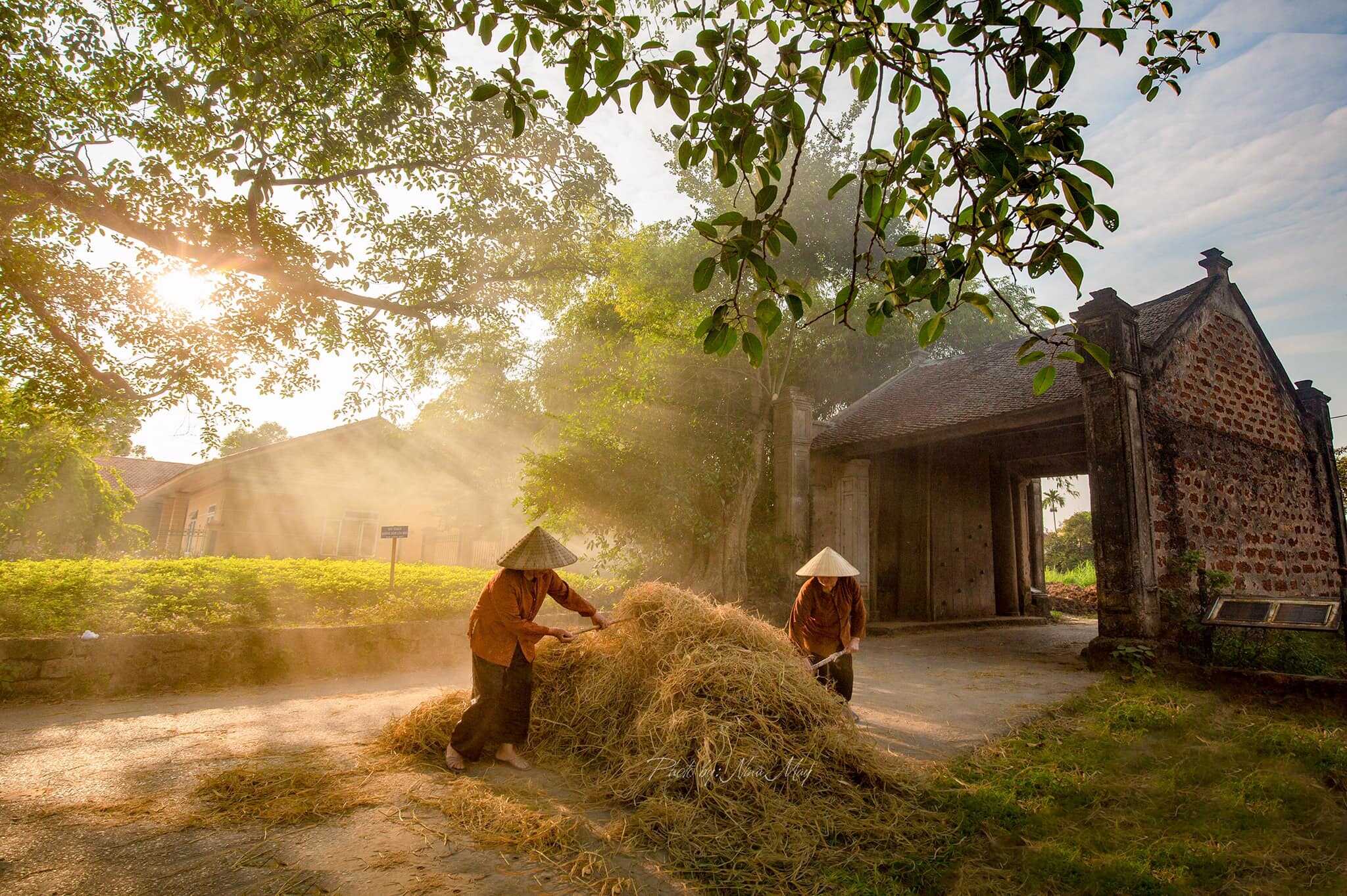 Đô thị - nông thôn ngoại thành trong mối liên kết không gian kinh tế và không gian sinh thái