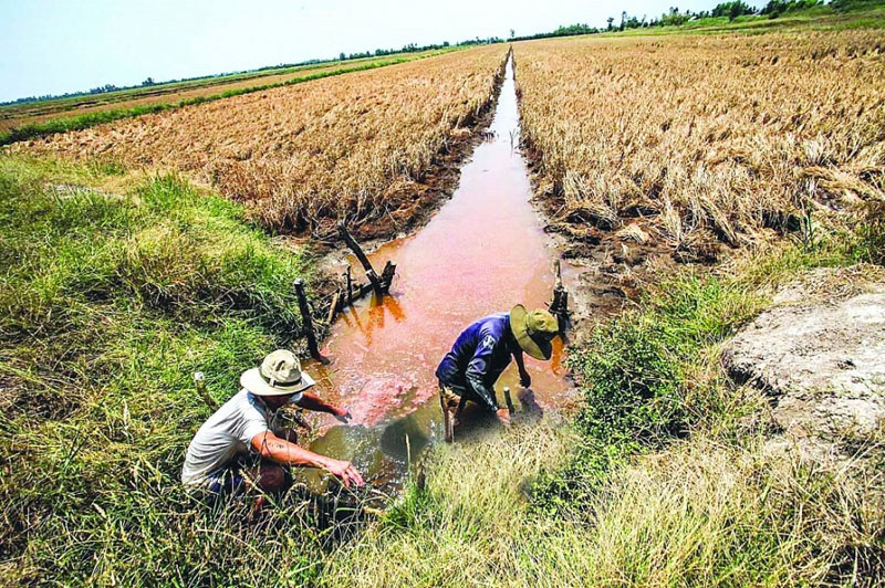 Xâm nhập mặn ở đồng bằng sông Cửu Long sẽ gia tăng từ cuối tháng 1/2022