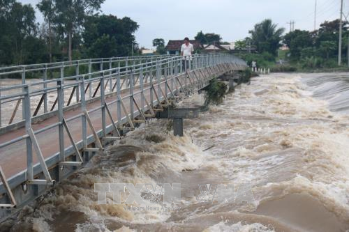 Cảnh báo lũ trên các sông từ Thừa Thiên Huế đến Khánh Hòa