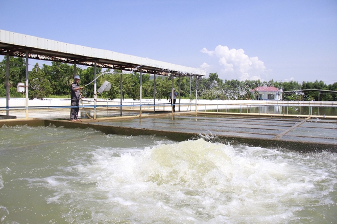 Đà Nẵng đảm bảo cung cấp nước cho người dân mùa nắng nóng
