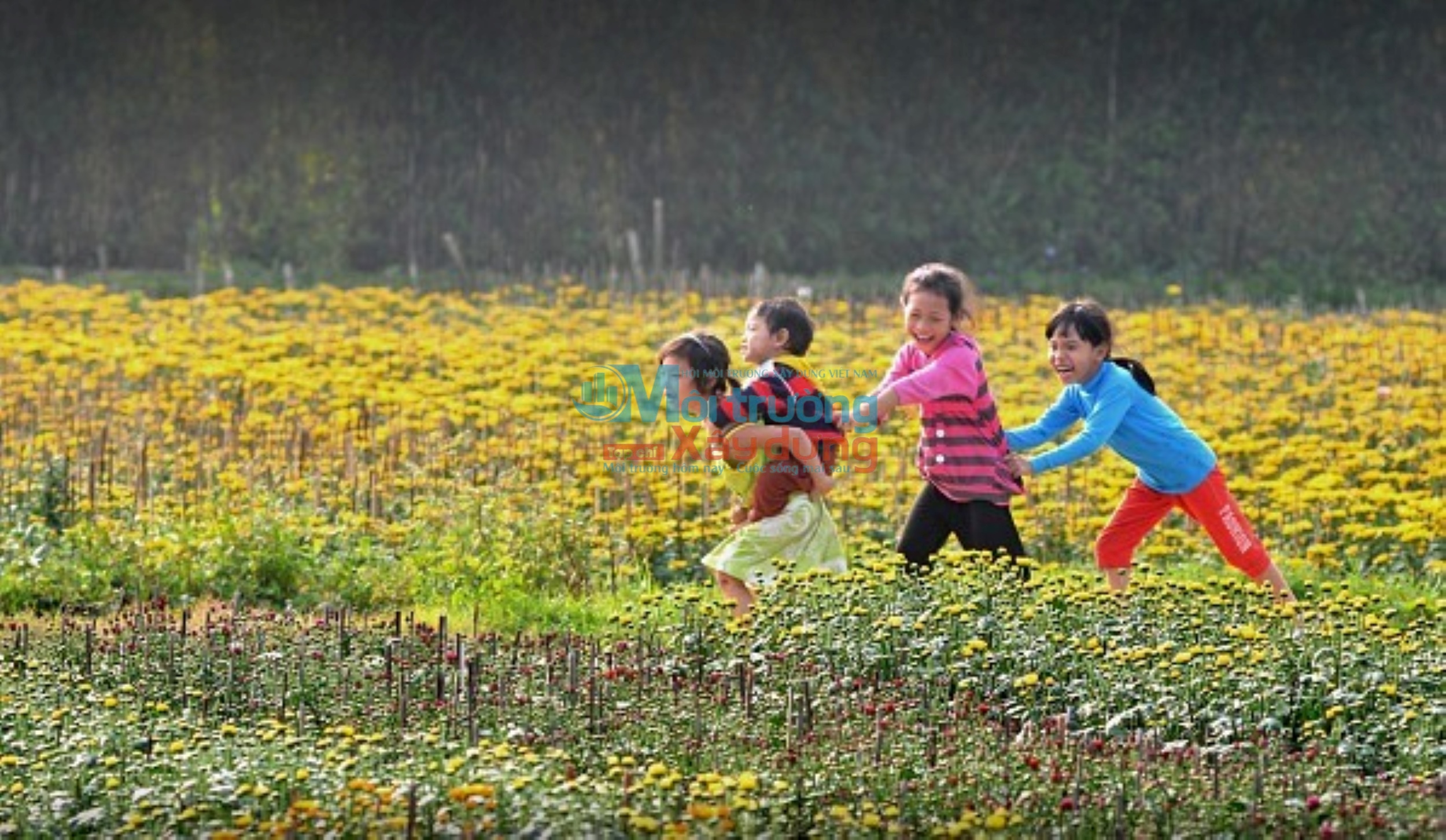 Làng hoa Phú Mậu nhộn nhịp sắc Xuân 