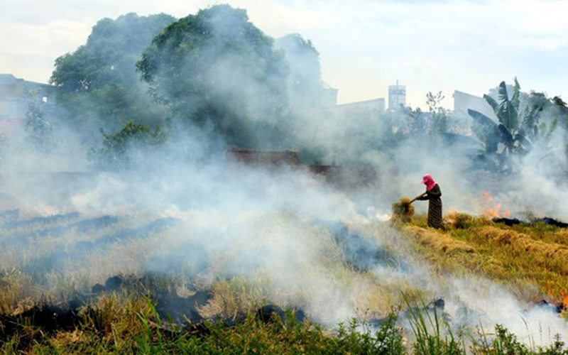 Thực hiện kiểm kê khí nhà kính