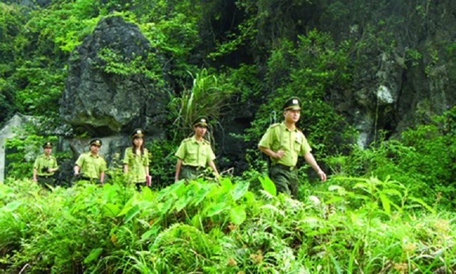 Nâng cao năng lực quản lý, bảo vệ rừng cho lực lượng kiểm lâm