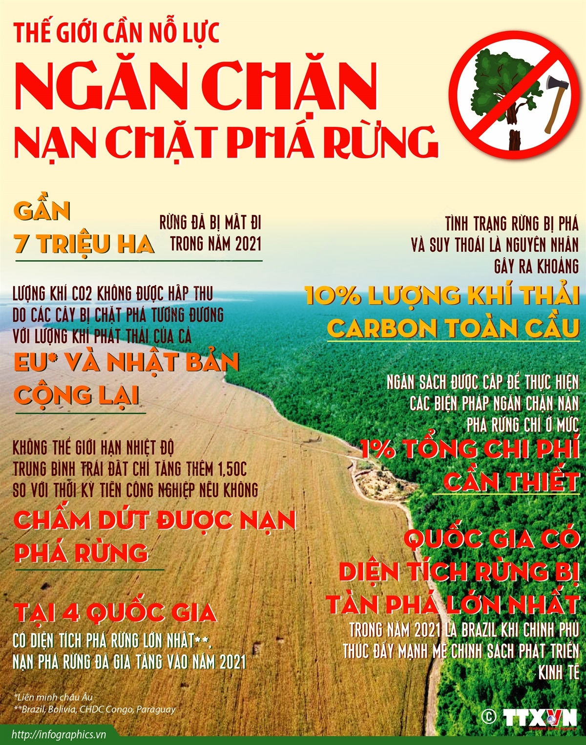 Thế giới cần nỗ lực ngăn chặn nạn chặt phá rừng